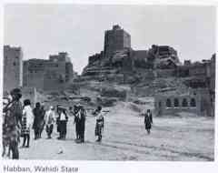 ���� ������ ��� ��� ����